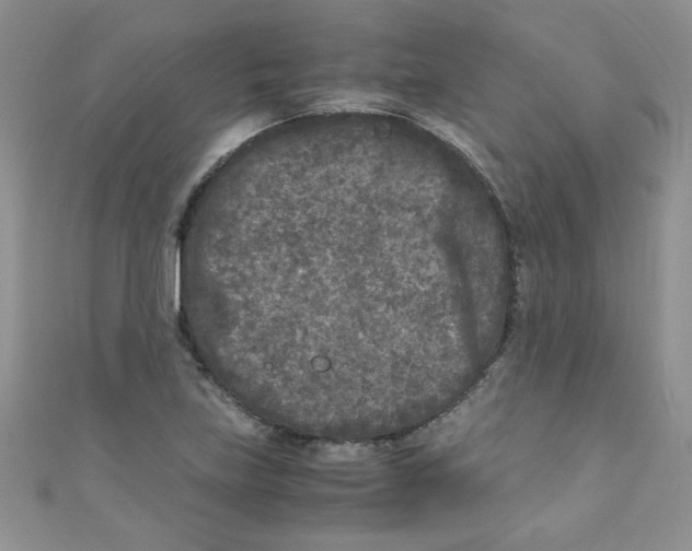 X0000111011219200907171827