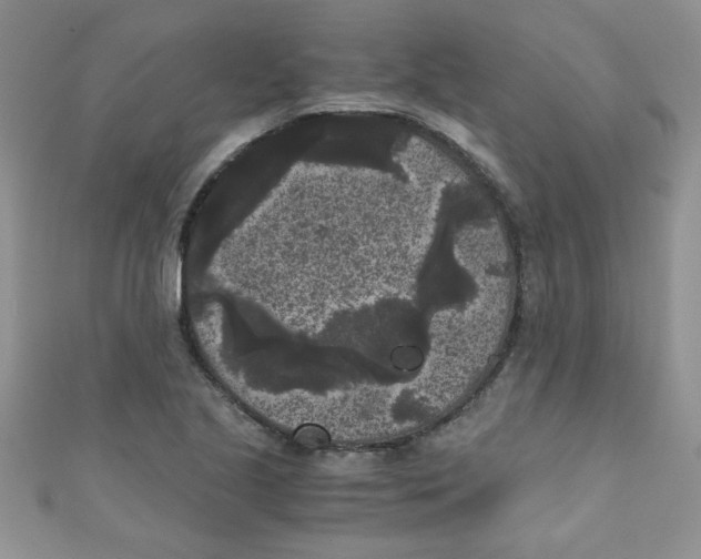 X0000111011221200907171827