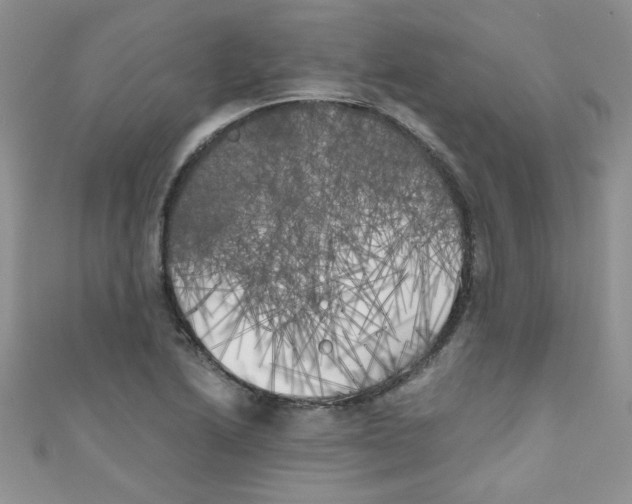 X0000111011222200907171827