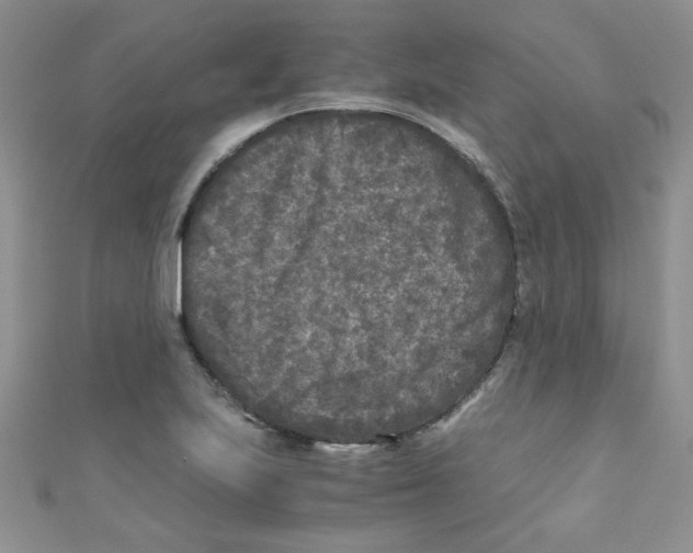 X0000111011223200907171827