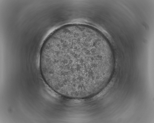 X0000111011224200907171827