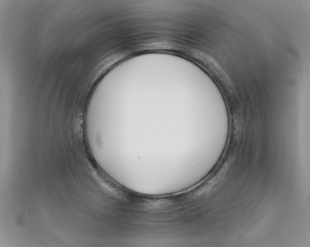 X0000111011225200907171827