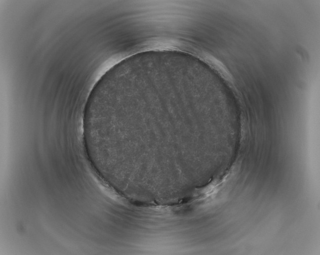 X0000111011226200907171827