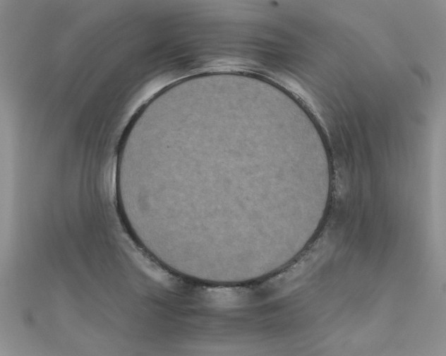 X0000111011227200907171828