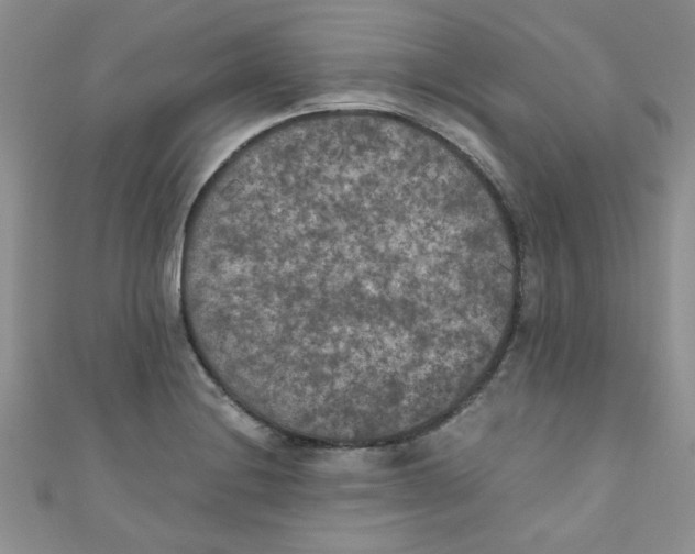 X0000111011228200907171828