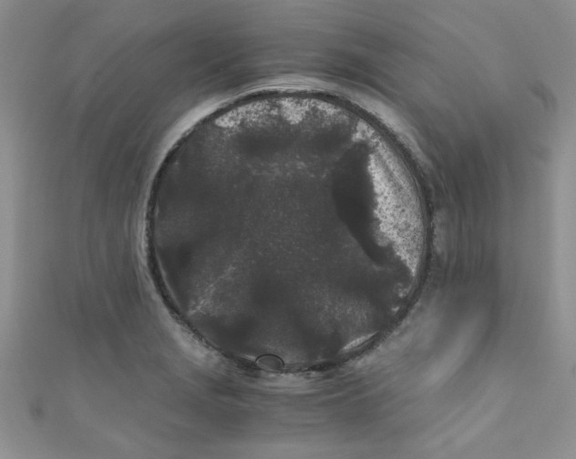X0000111011229200907171828