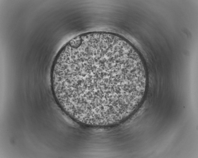 X0000111011230200907171828