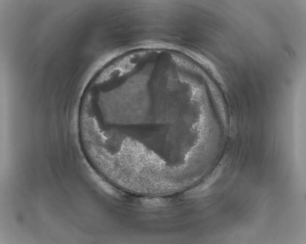 X0000111011231200907171828