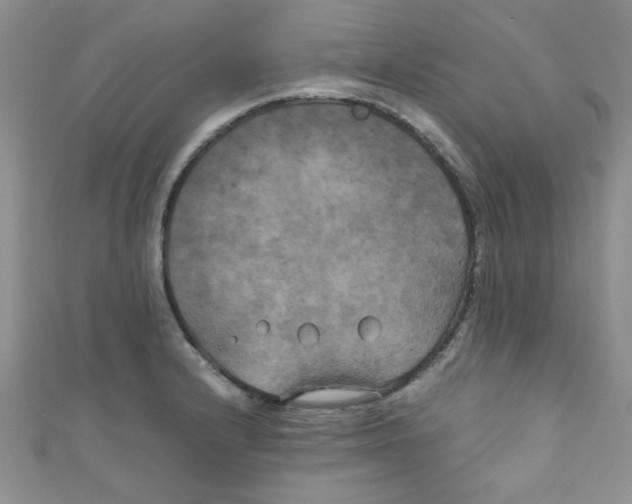 X0000111011232200907171828