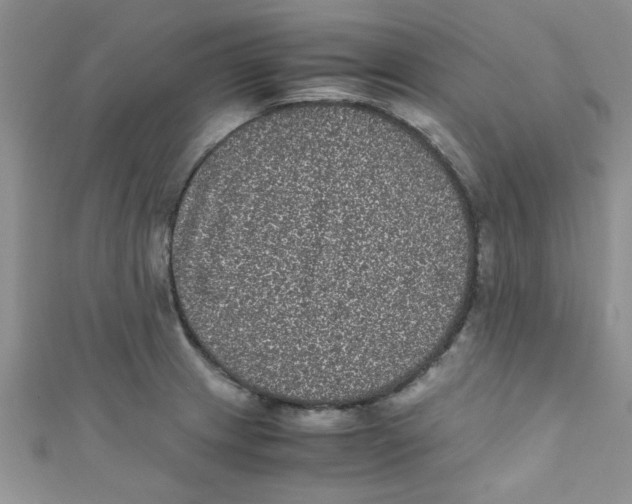 X0000111011233200907171828
