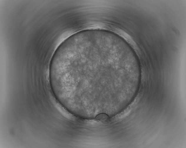X0000111011234200907171828