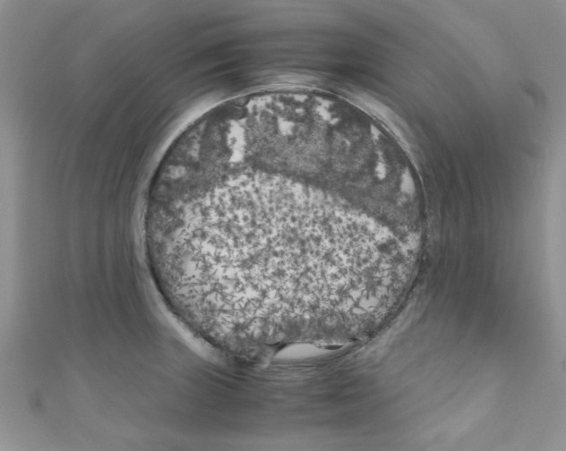 X0000111011235200907171828