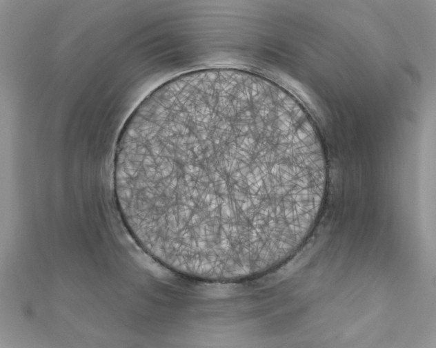 X0000111011236200907171828