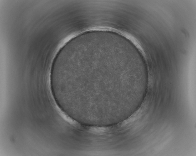 X0000111011237200907171828