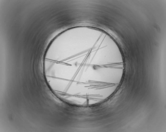 X0000111011238200907171828