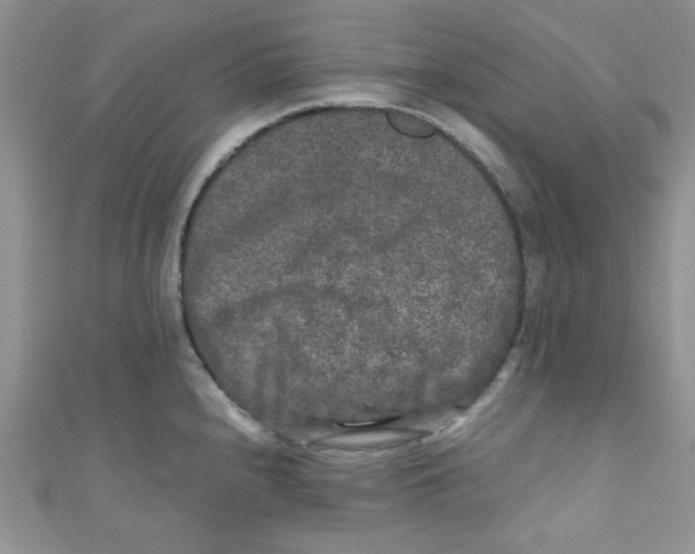 X0000111011240200907171828