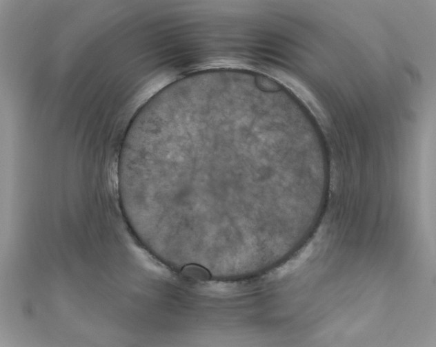 X0000111011241200907171828