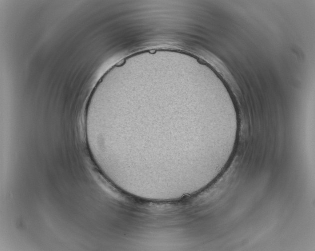 X0000111011242200907171828