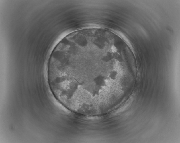 X0000111011243200907171828
