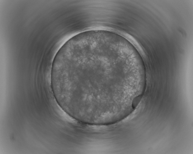 X0000111011244200907171828