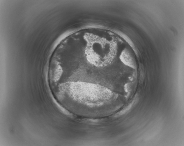 X0000111011245200907171828