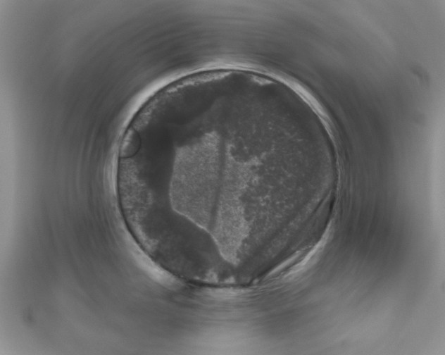 X0000111011246200907171828