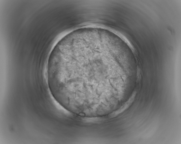 X0000111011247200907171828