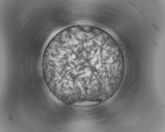 X0000111011248200907171828