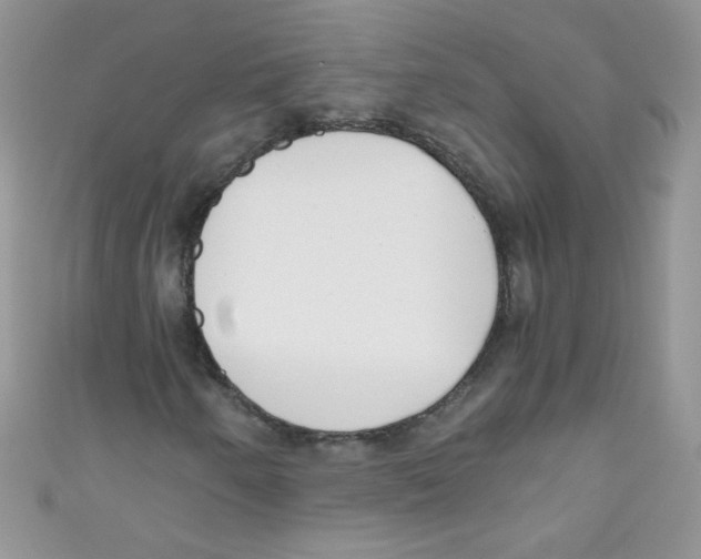 X0000111011250200907171827