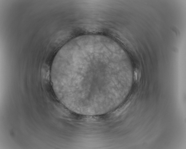 X0000111011251200907171827