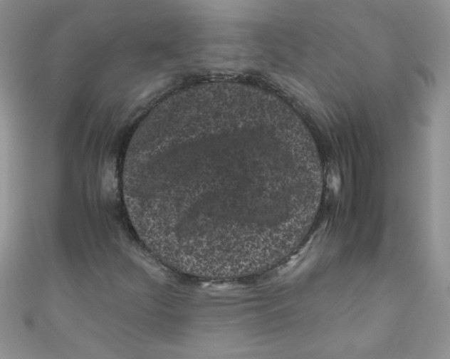 X0000111011252200907171827