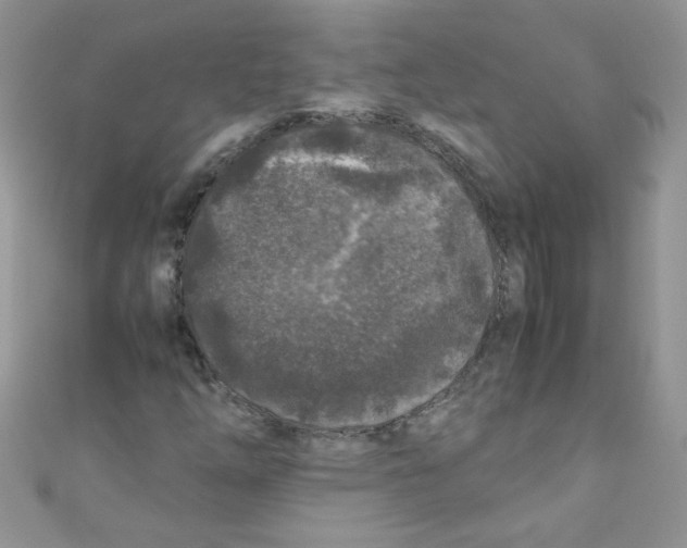 X0000111011254200907171827