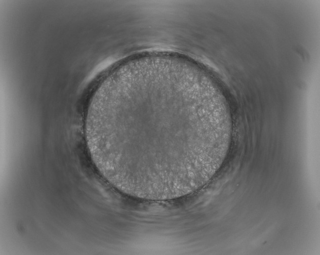 X0000111011255200907171827