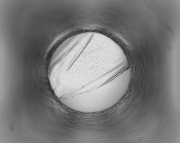 X0000111011256200907171827