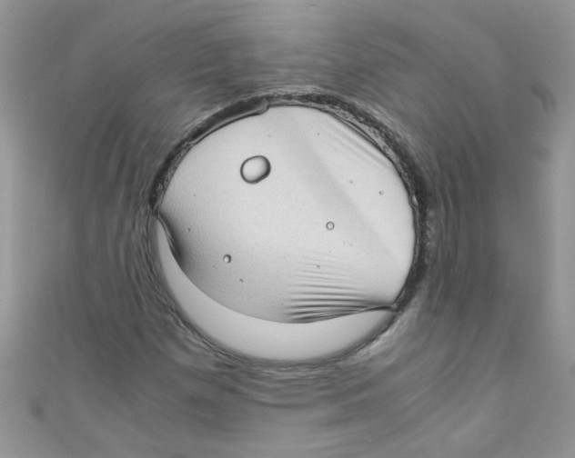 X0000111011257200907171827