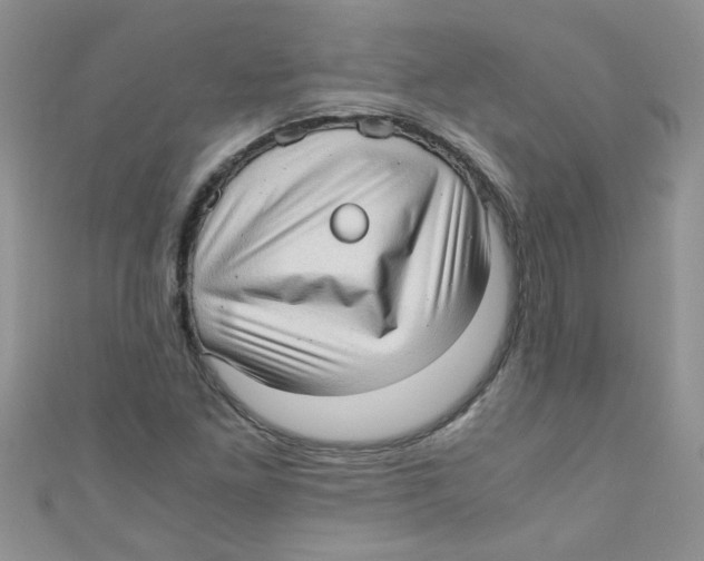 X0000111011261200907171827