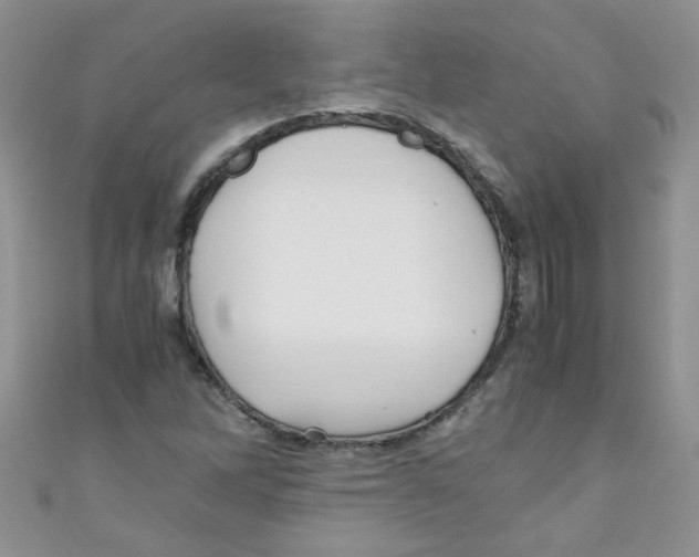 X0000111011262200907171827