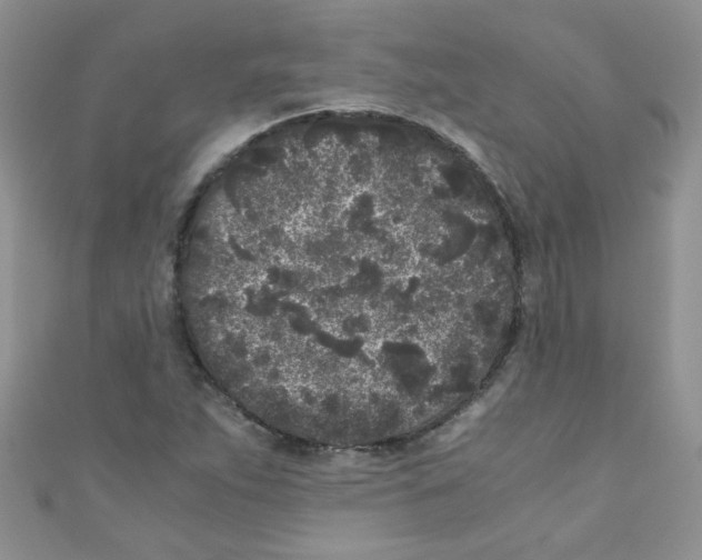X0000111011263200907171827