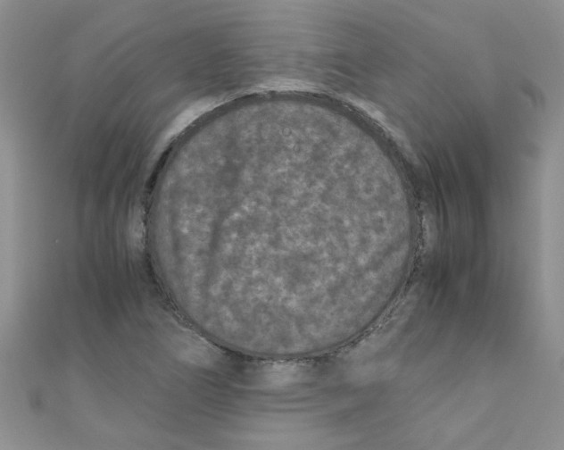 X0000111011266200907171827