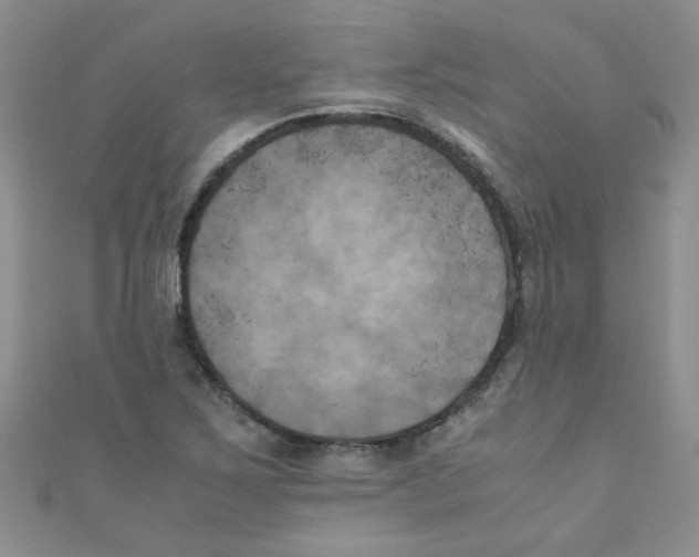 X0000111011267200907171827