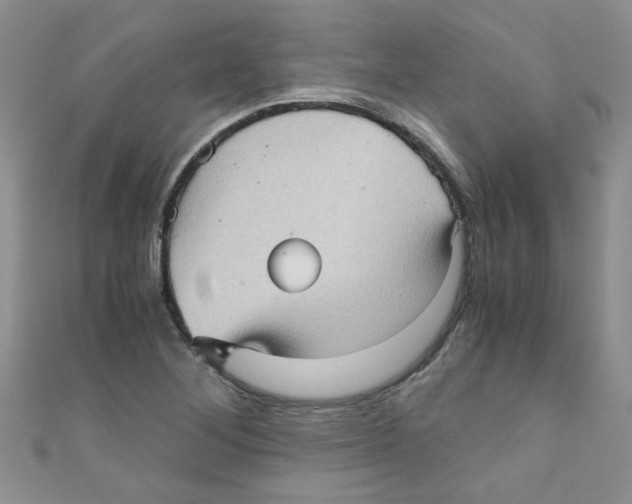 X0000111011268200907171827