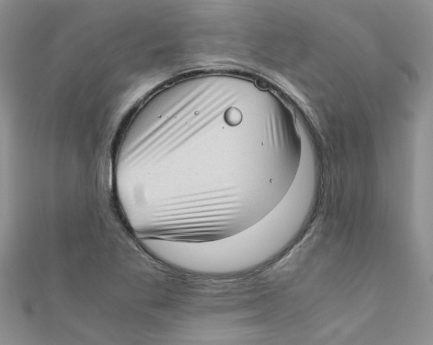 X0000111011269200907171827