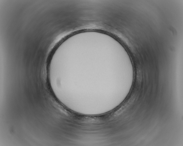 X0000111011270200907171827