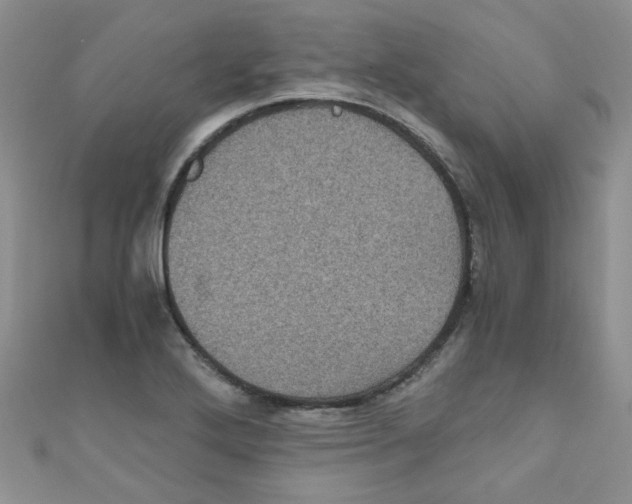 X0000111011272200907171827