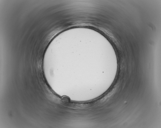 X0000111011273200907171827