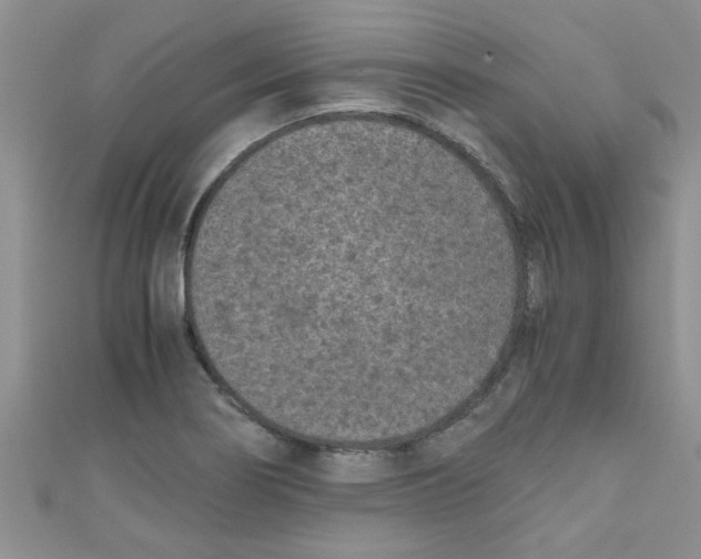 X0000111011274200907171827