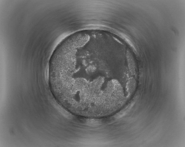 X0000111011275200907171827
