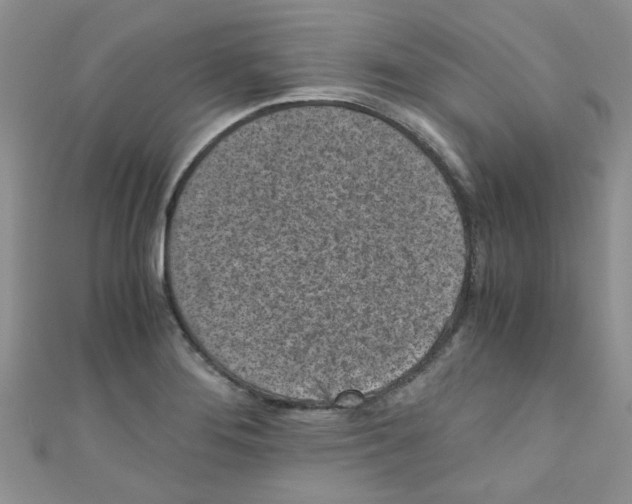 X0000111011276200907171827