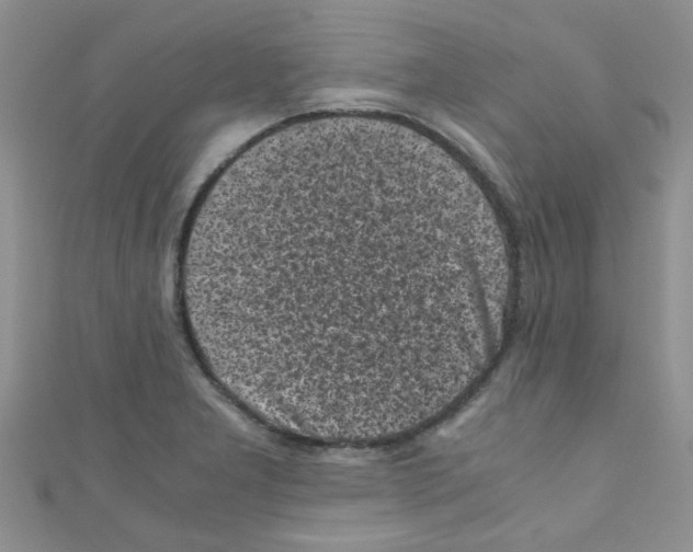 X0000111011277200907171827