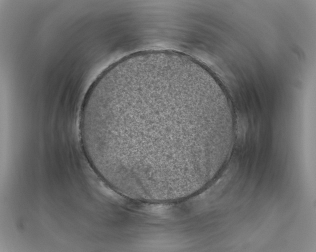 X0000111011278200907171827